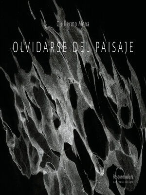 cover image of Olvidarse del paisaje